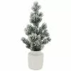St. Nicholas Square® Flocked Artificial Pine Tree Floor Decor
